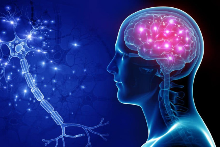 Neurology & Neurosurgery
