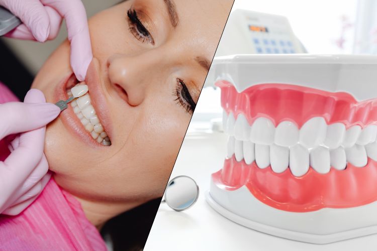 Dentistry
